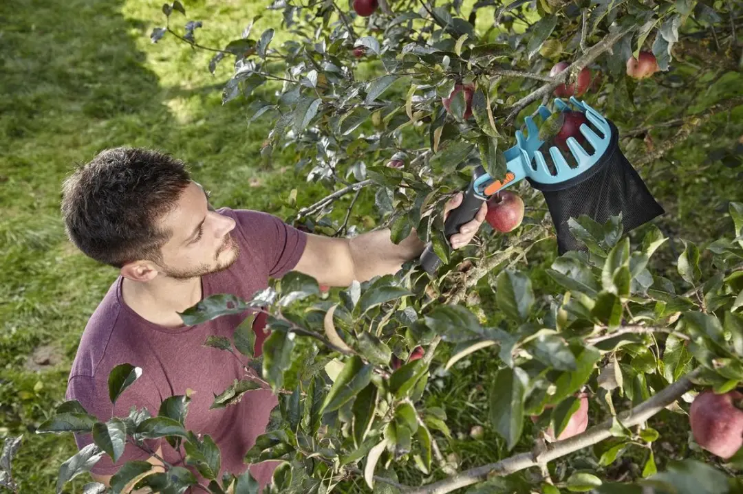 Gardena Fruitplukker Combisystem