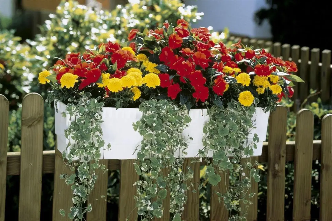 Gardena Volautomatische Bloembakbesproeiing Set - 12 Planten