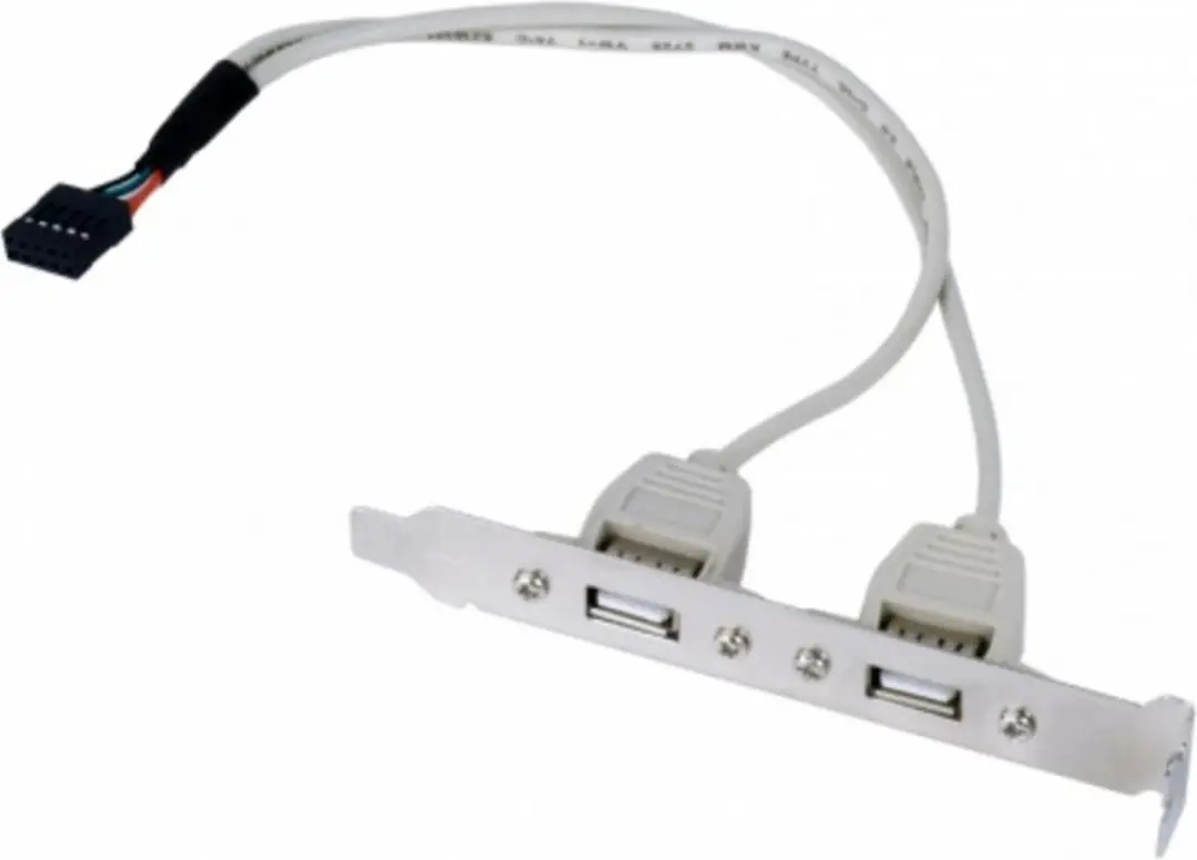 Cablexpert CCUSBRECEPTACLE Pin Header Bracket USB2.0 - 2x USB-A - 0,25m