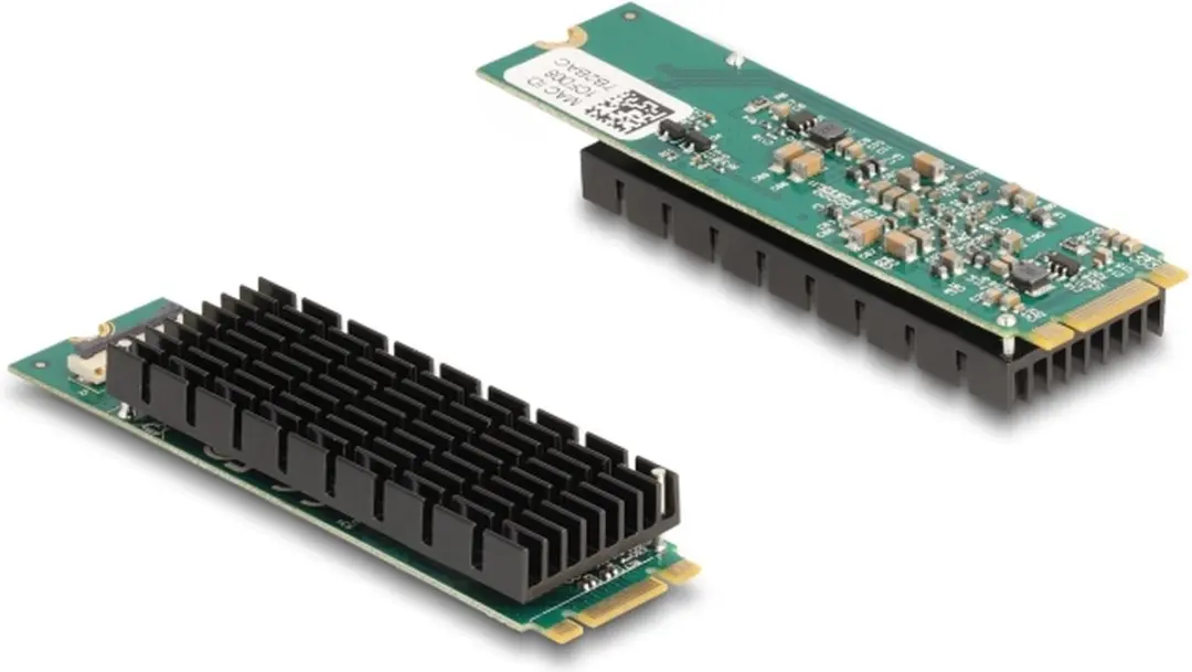Delock M.2 Key B+M 10Gbps Netwerkkaart - Zwart