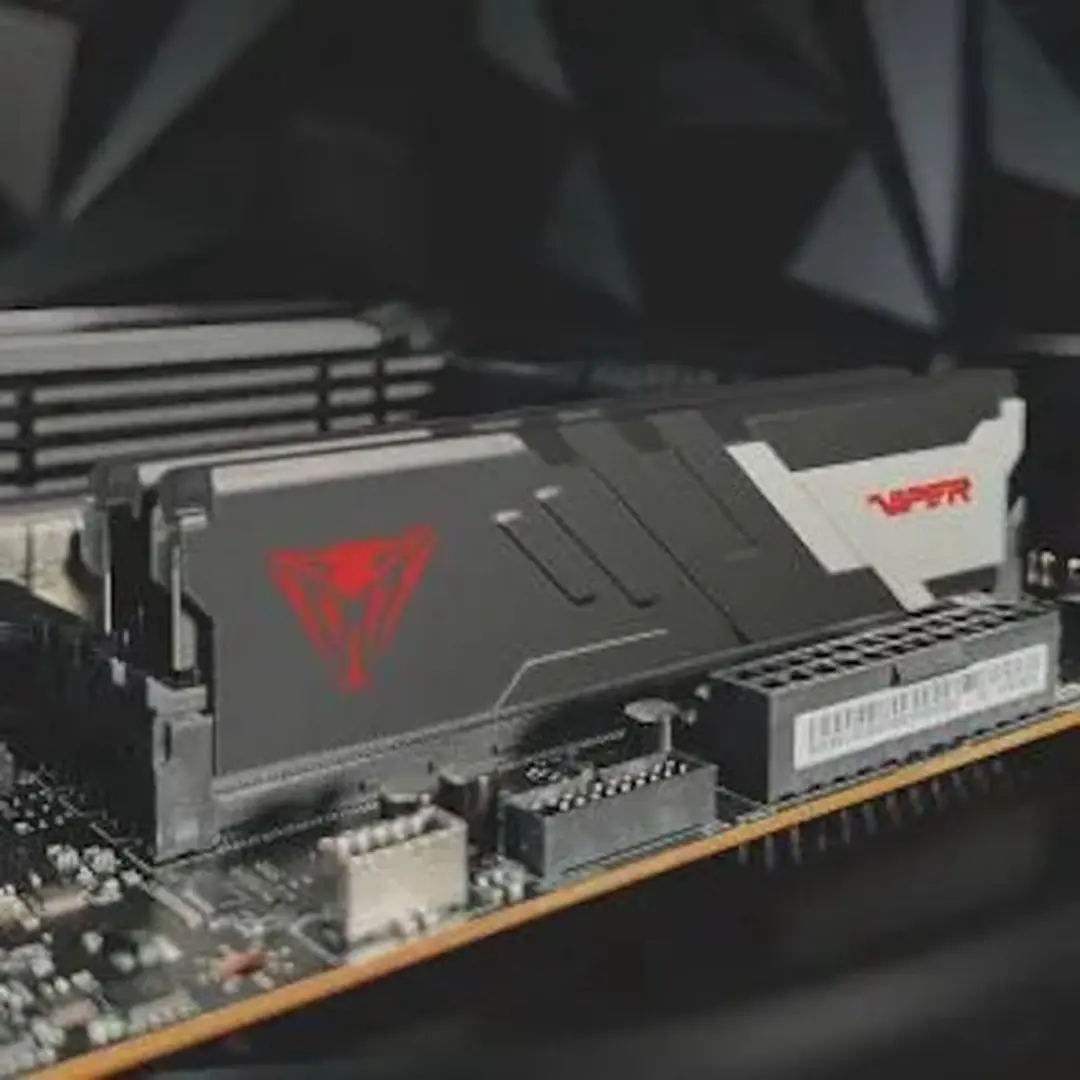Patriot Viper Venom PVV532G600C36K DDR5 RAM 6000MHz 2x16GB