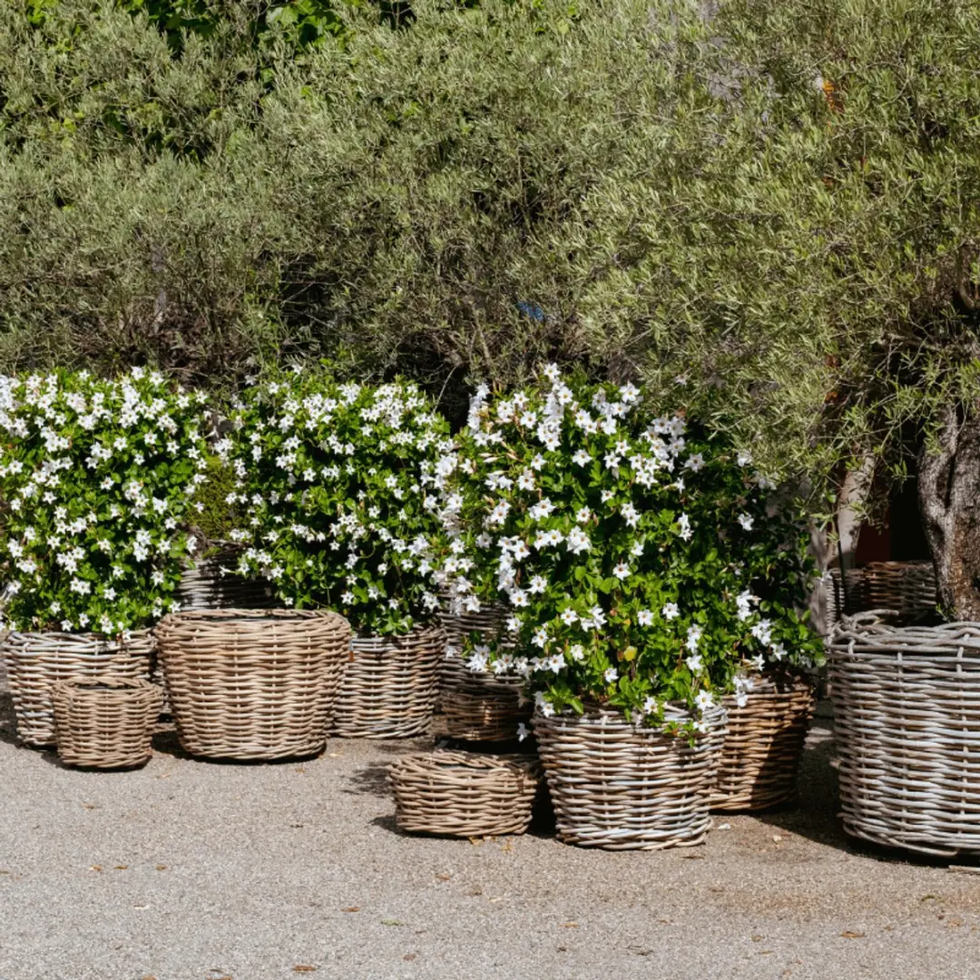 Drypot Rattan Pot - Ø35cm - 10L - Grijs