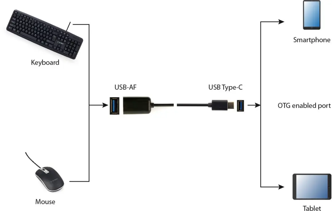 Cablexpert USB 2.0 naar USB-C Adapterkabel 0.20m - Zwart