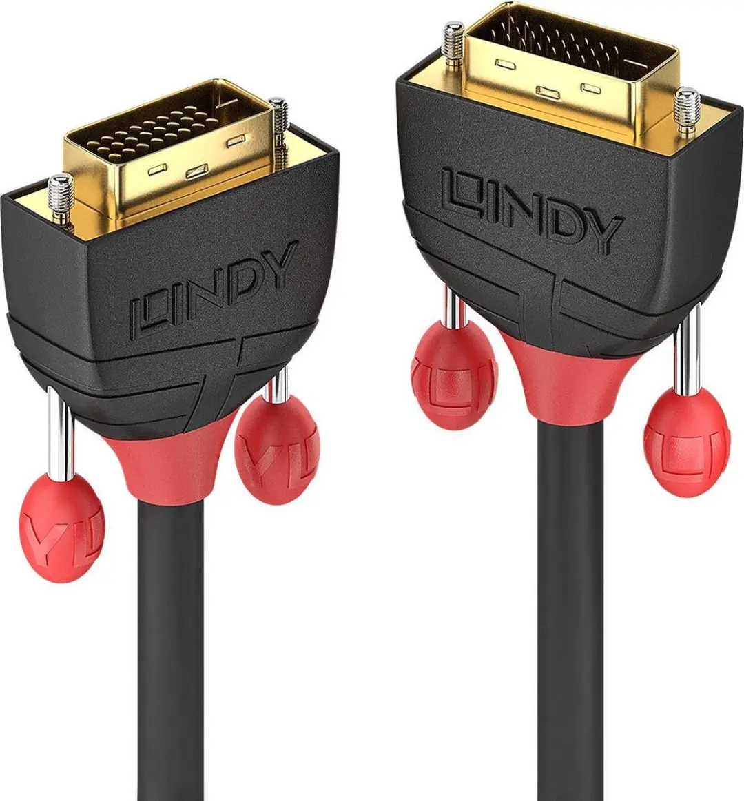 Lindy DVI-kabel 36251 DVI-D 1.00m