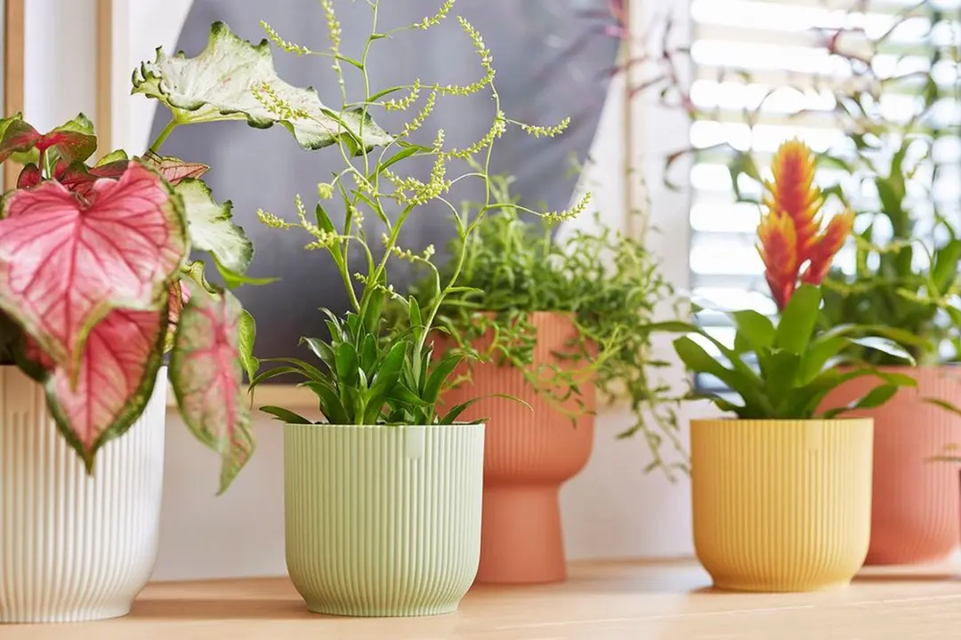 Elho Vibes Fold Rond Mini 7 Bloempot - 0,2L - Sorbet Groen - afbeelding 6 van 6