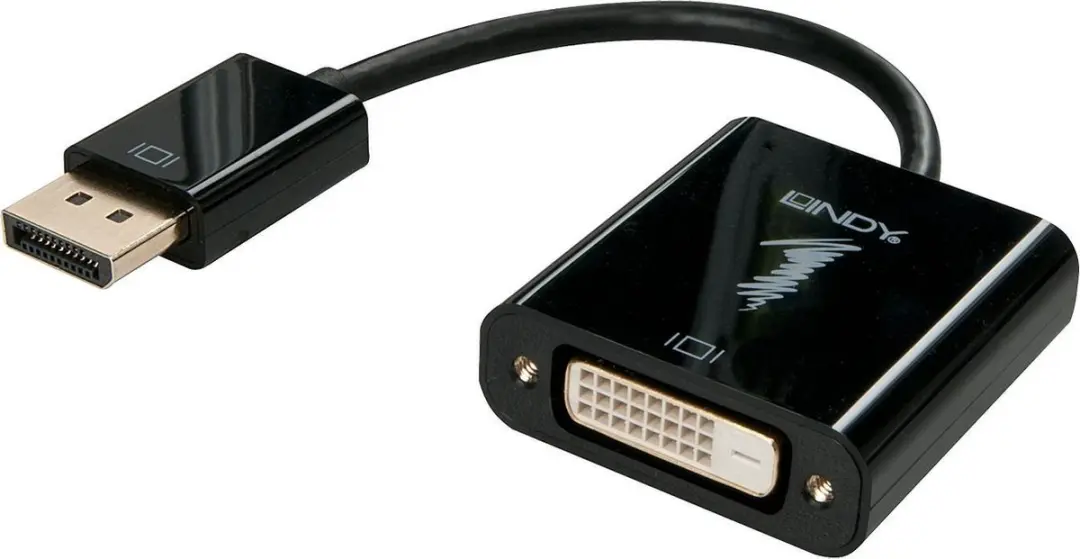 Lindy 41734 DisplayPort naar DVI Adapter