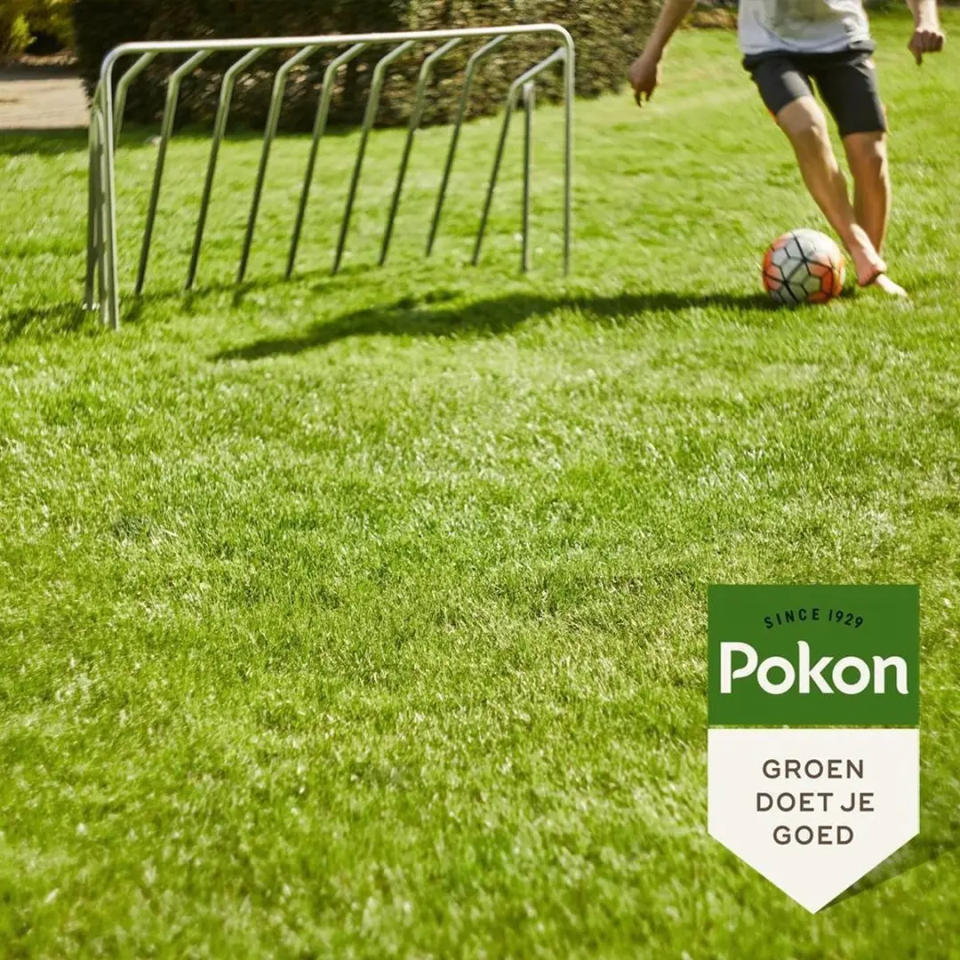 Pokon Graszaad Inzaai 250g - IJzersterk groen