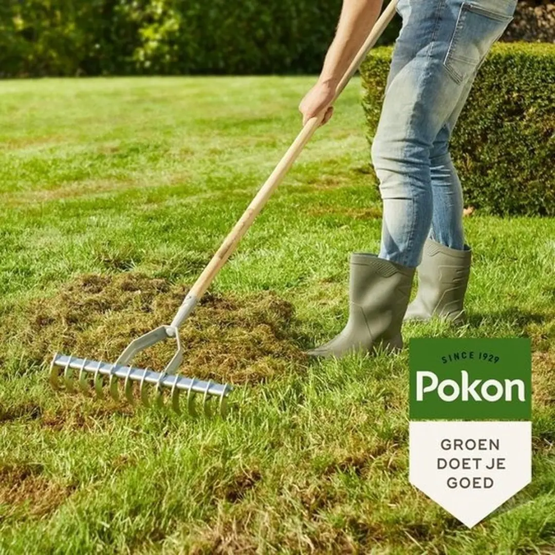 Pokon Graszaad Inzaai 250g - IJzersterk groen - afbeelding 6 van 6