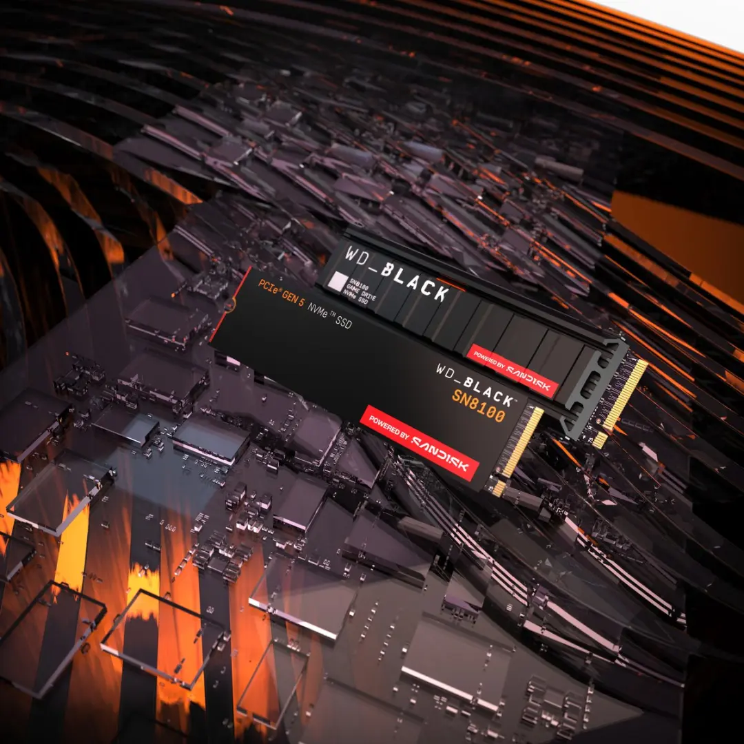 SanDisk WD_BLACK SN8100 WDS800T1X0M-00CMT0 SSD - 8TB