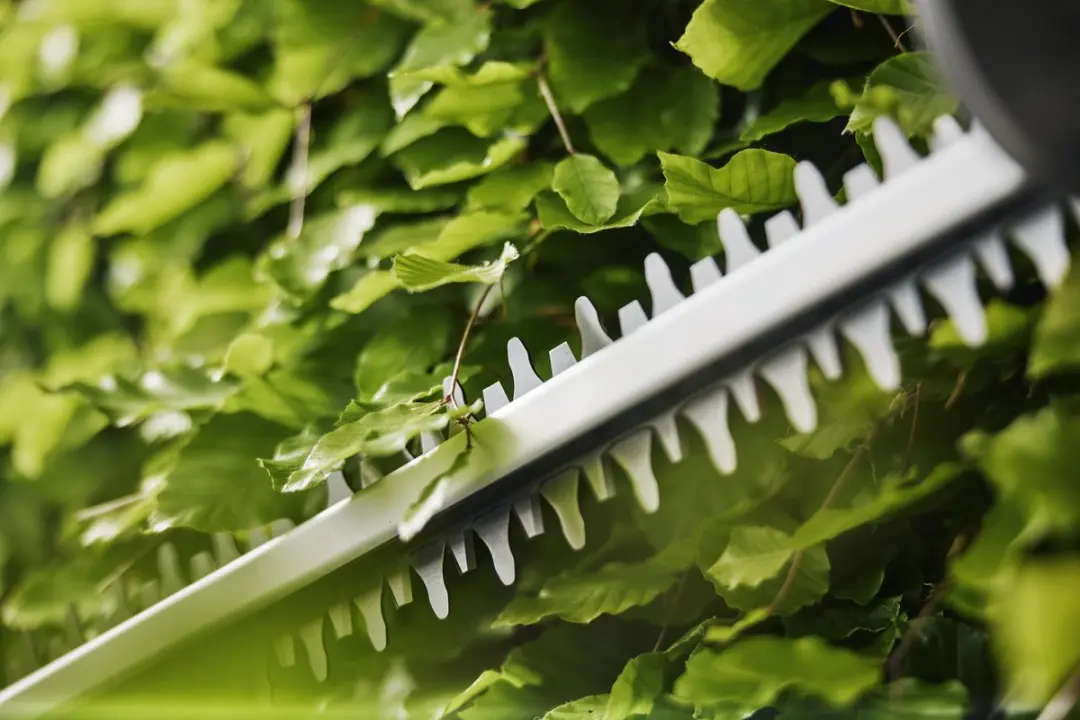 Gardena EasyCut 55 Accu Heggenscharen 17mm - 2000mAh