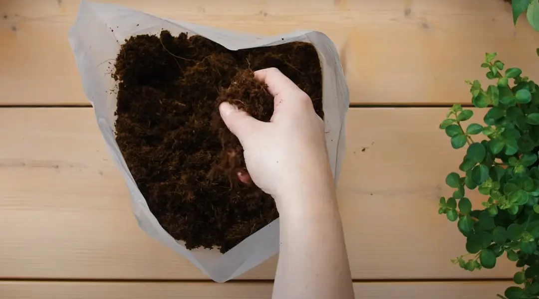 Pokon Kokos Potgrond Compact 10L - Universeel - afbeelding 6 van 6