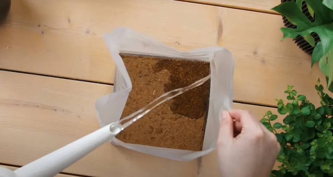 Pokon Kokos Potgrond Compact 10L - Universeel