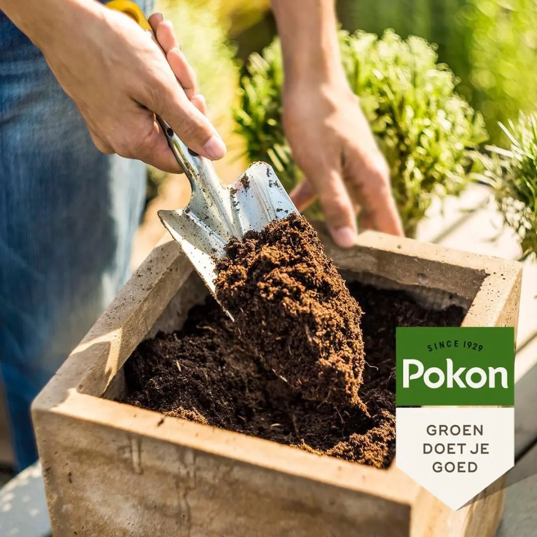 Pokon Kokos Potgrond Compact 10L - Universeel