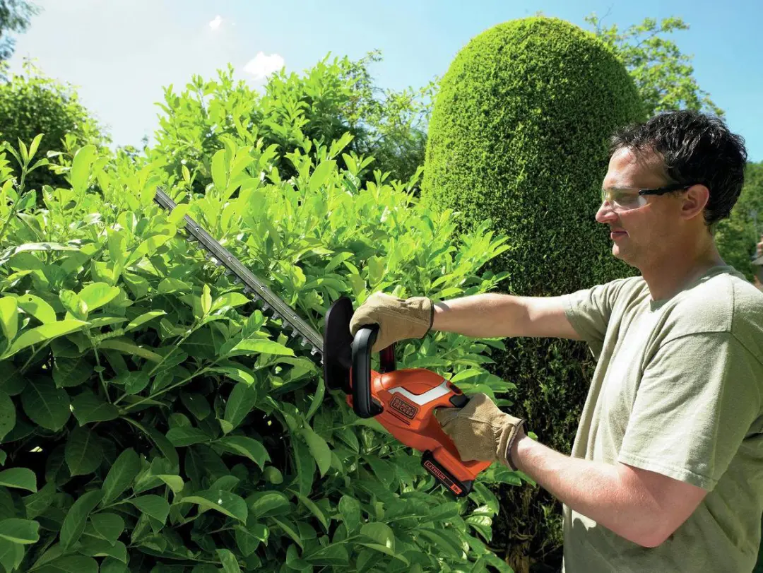 BLACK+DECKER Accu Heggenschaar GTC1845L20-QW 18V - 2.0Ah