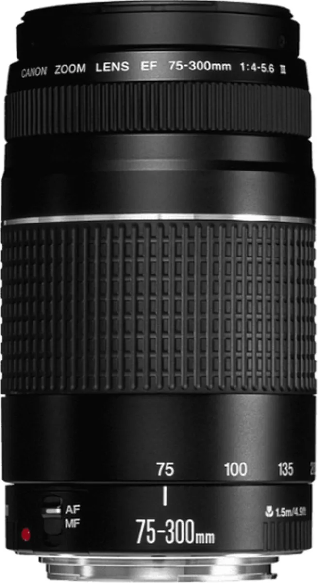 Canon EOS 2000D Spiegelreflexcamera - Zwart - 2728C003AA