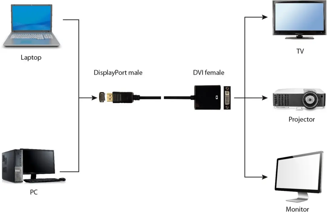 Cablexpert DisplayPort - DVI Adapter KD05698 - Zwart