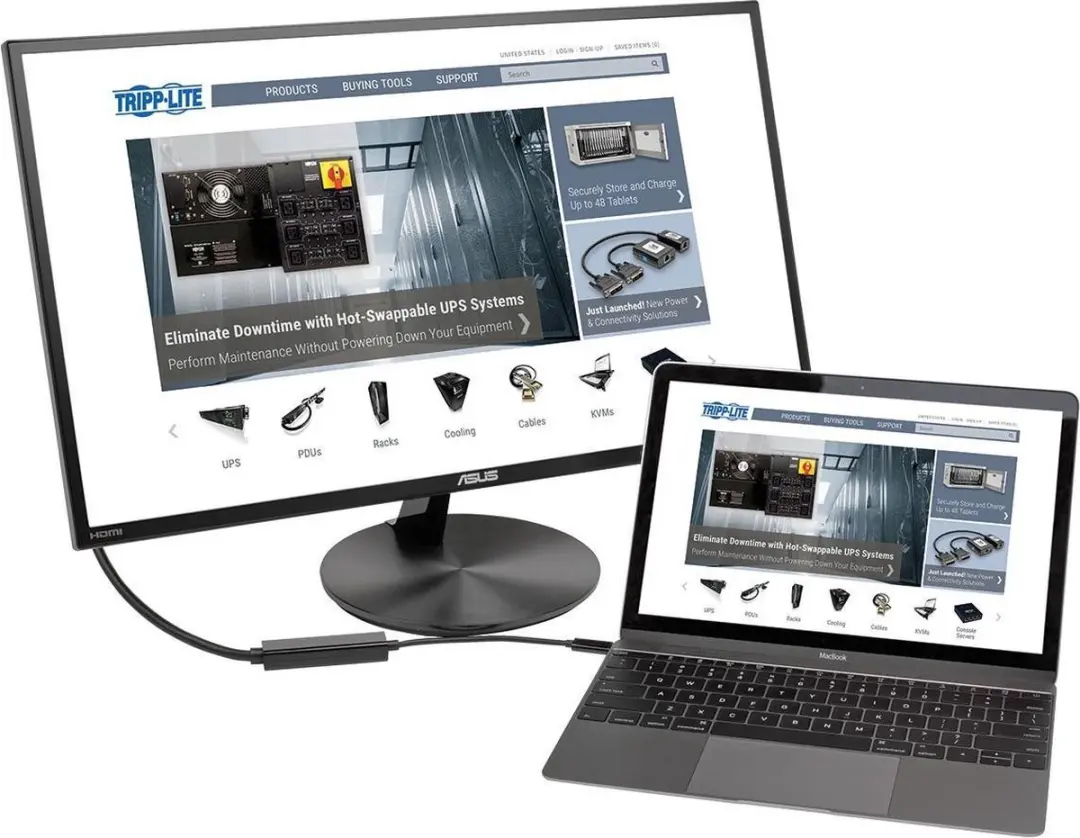 Tripp Lite U444-016-D DVI-D naar USB-C 3.1 Kabeltussenstuk - Zwart