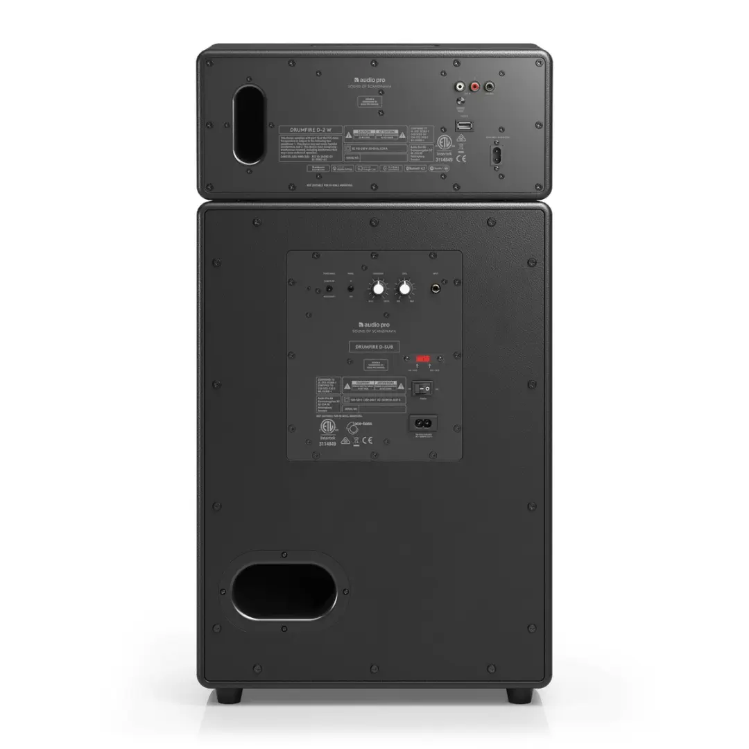 Audio Pro Drumfire II W Actieve Partyspeaker - 300W - Zwart