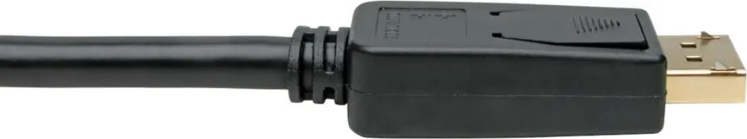 Tripp Lite P134-001-GC DisplayPort naar DVI-I Kabel - 0,31m - Zwart