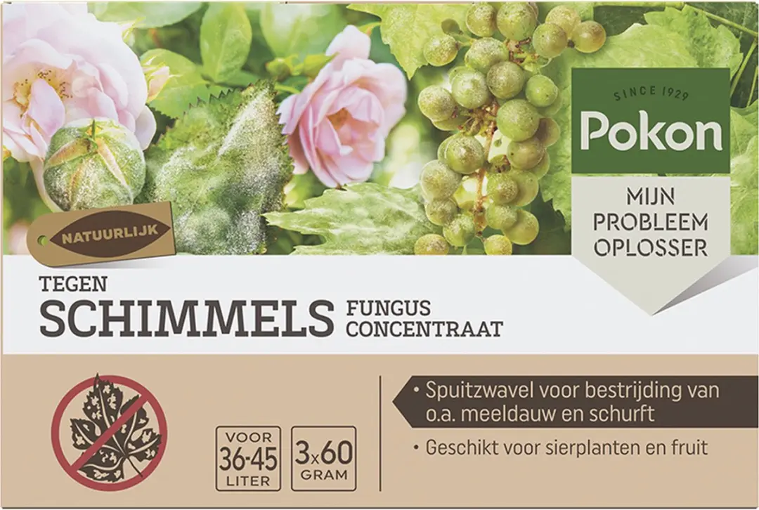 Pokon Tegen Schimmels Fungus Concentraat 3x60g