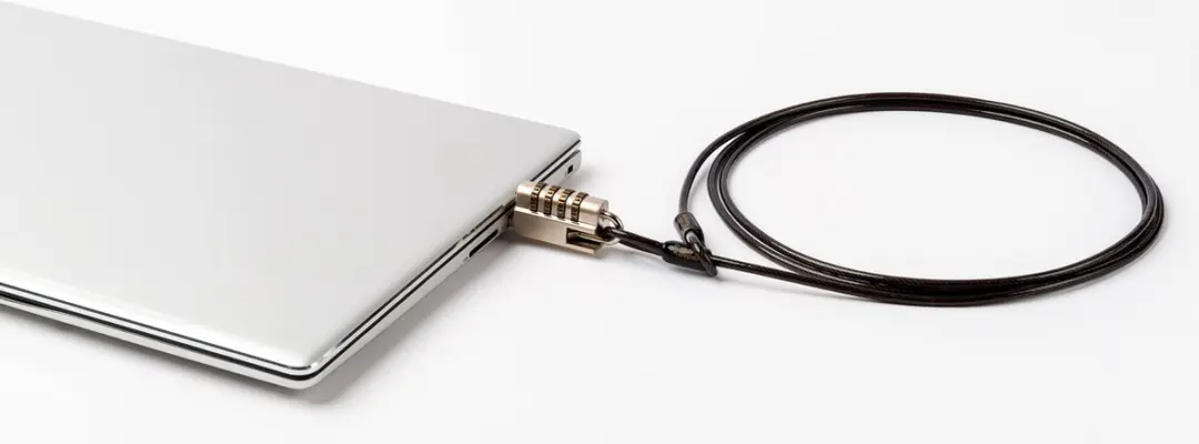 SmartKeeper CSK-LLD01 Laptop USB Lock - Zilver