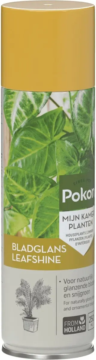 Pokon Bladglans 600ml - afbeelding 6 van 6