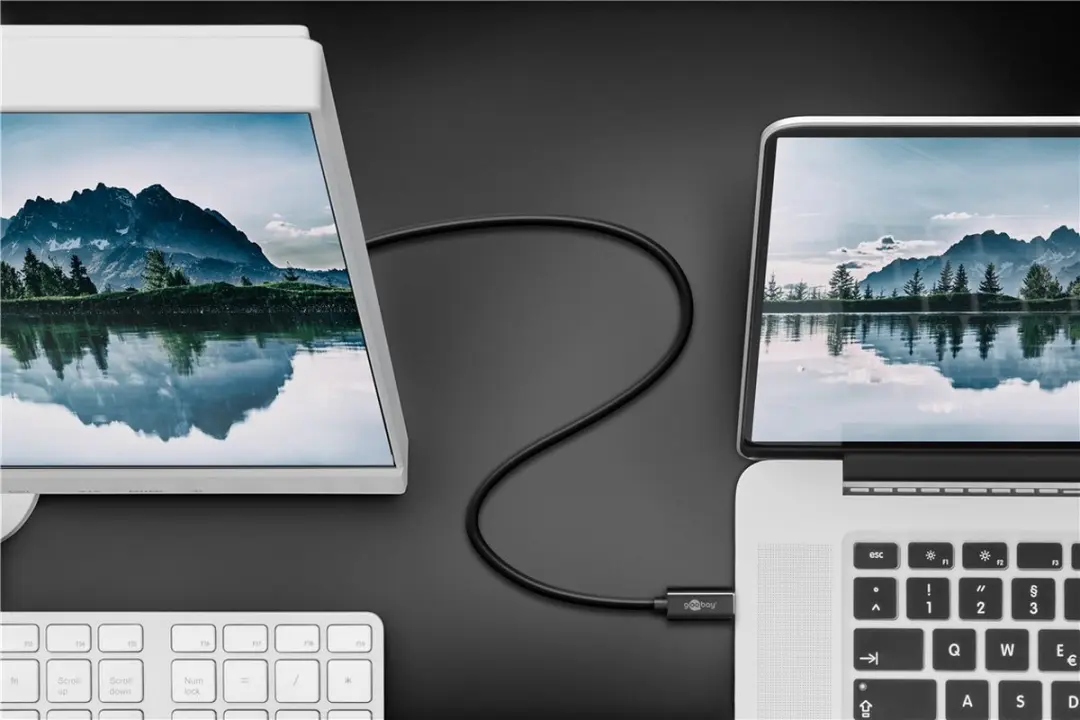 Goobay USB-C naar VGA Monitor Kabel 1.8m - Zwart