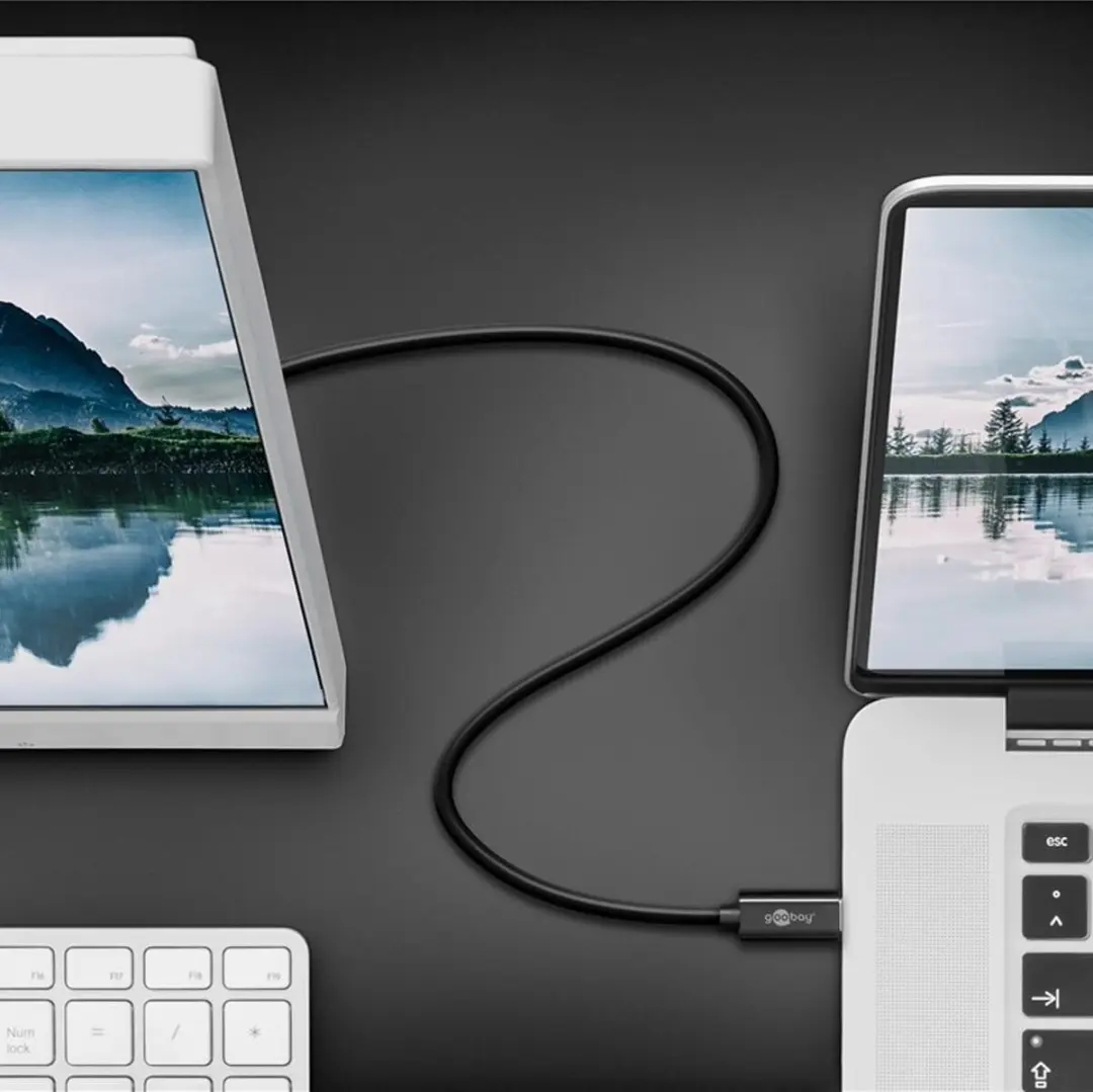 Goobay USB-C naar VGA Monitor Kabel 1.8m - Zwart