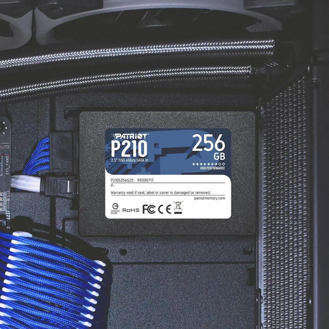 Patriot Memory P210 SSD 256GB - 2,5" SATA - tot 520 MB/s