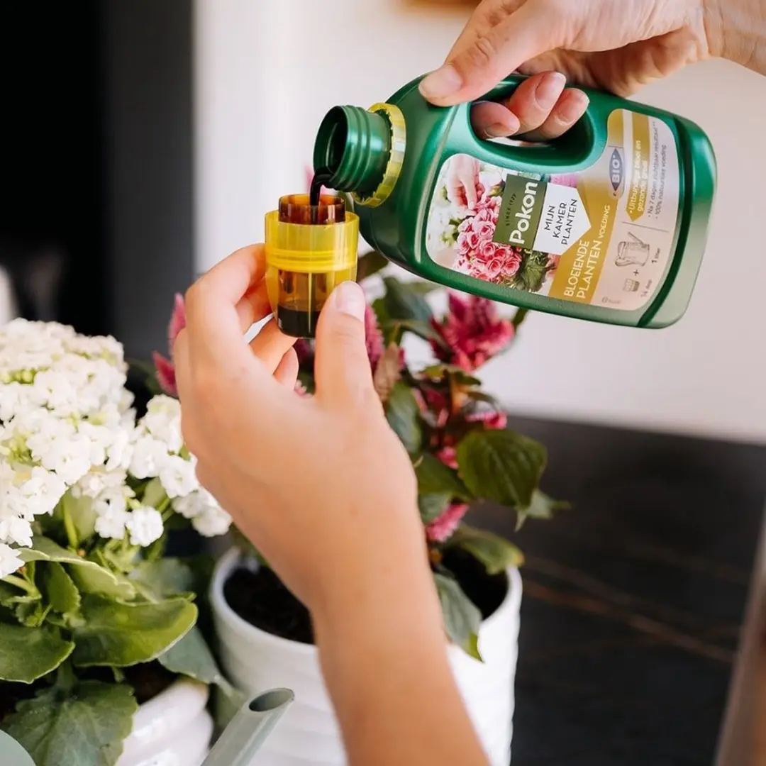 Pokon Bio Bloeiende Planten Voeding 500ml - afbeelding 6 van 6