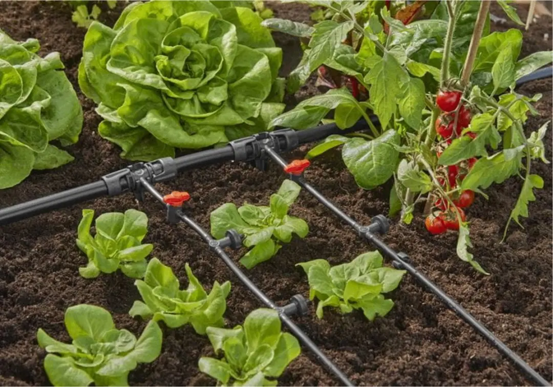 Gardena Micro-Drip Rijendruppelaar 13312-20 - 10 Stuks