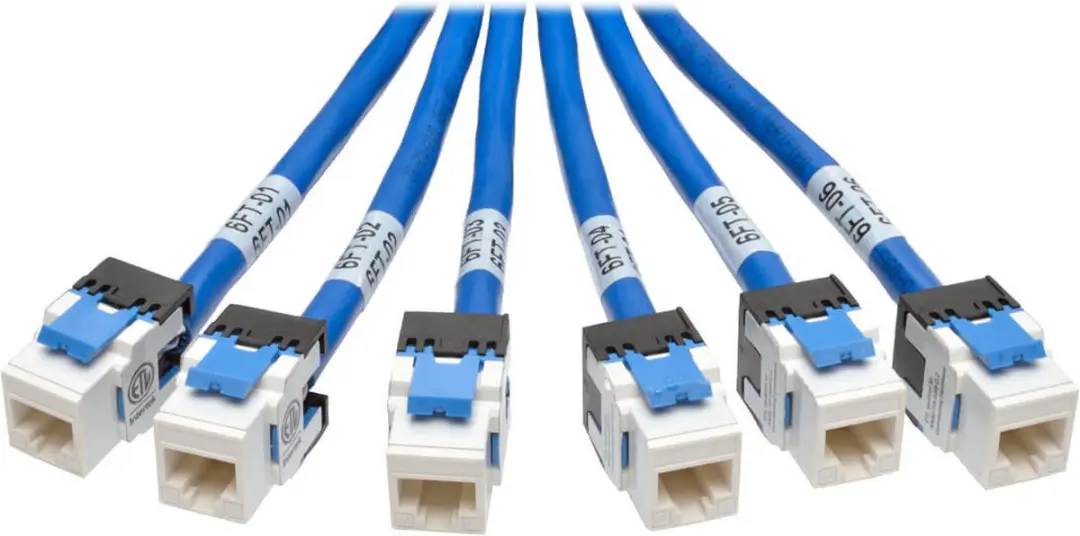 Tripp Lite Cat6 N261-006-6MF-BL Netwerkkabel 1,83m - Blauw