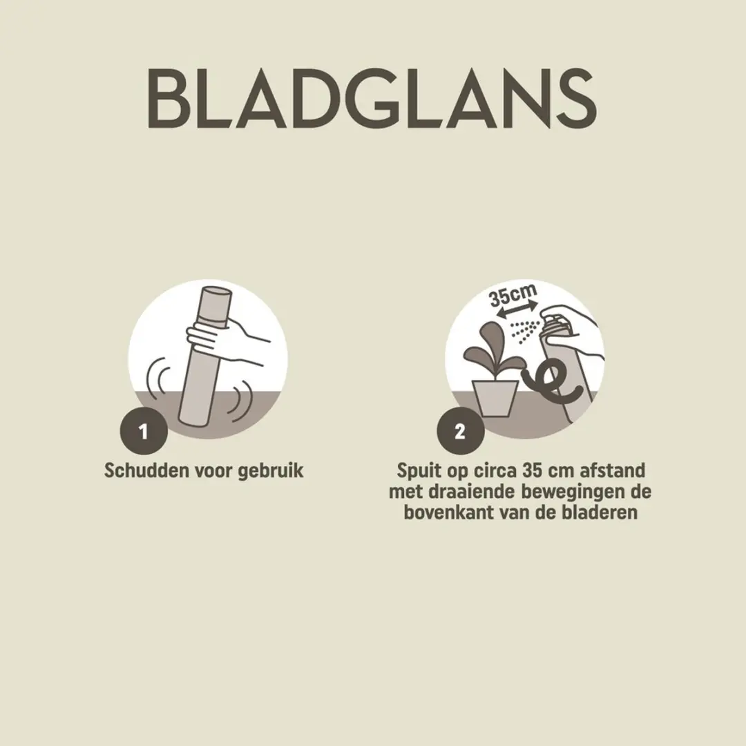 Pokon Bladglans 250ml - afbeelding 6 van 6
