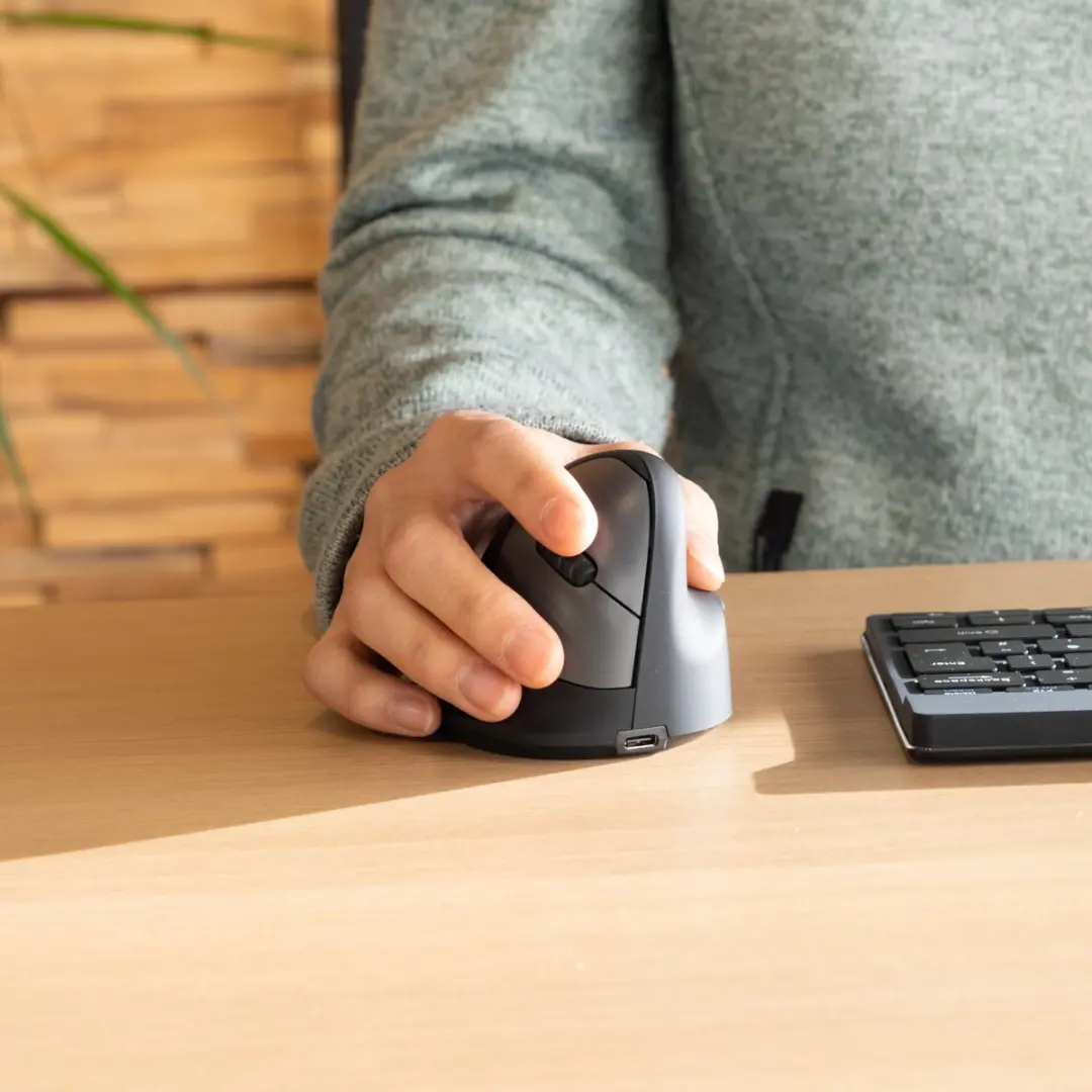 R-Go HE Break RGOHBRSWLBL - 3-in-1 Bluetooth/2.4GHz/USB - Zwart
