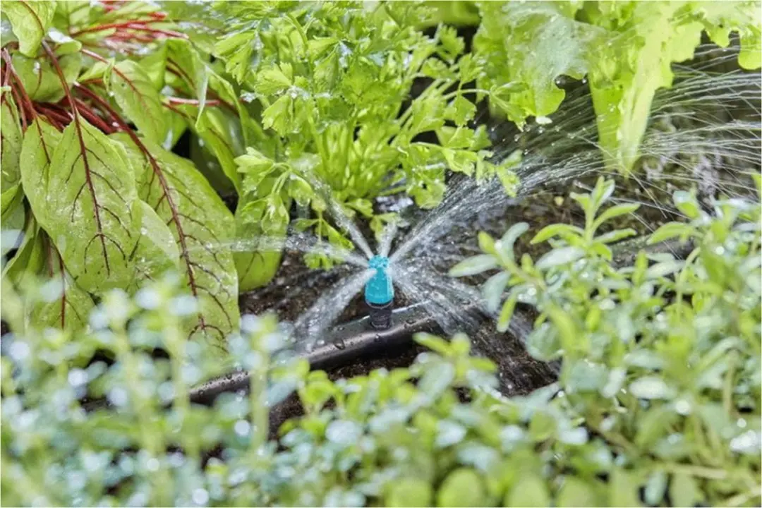 Gardena Micro-Drip Eindsproeier 13306-20 - 10 Stuks