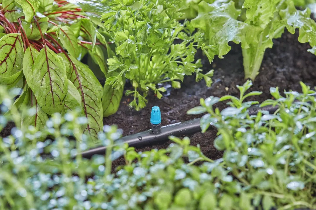 Gardena Micro-Drip Eindsproeier 13306-20 - 10 Stuks - afbeelding 6 van 6