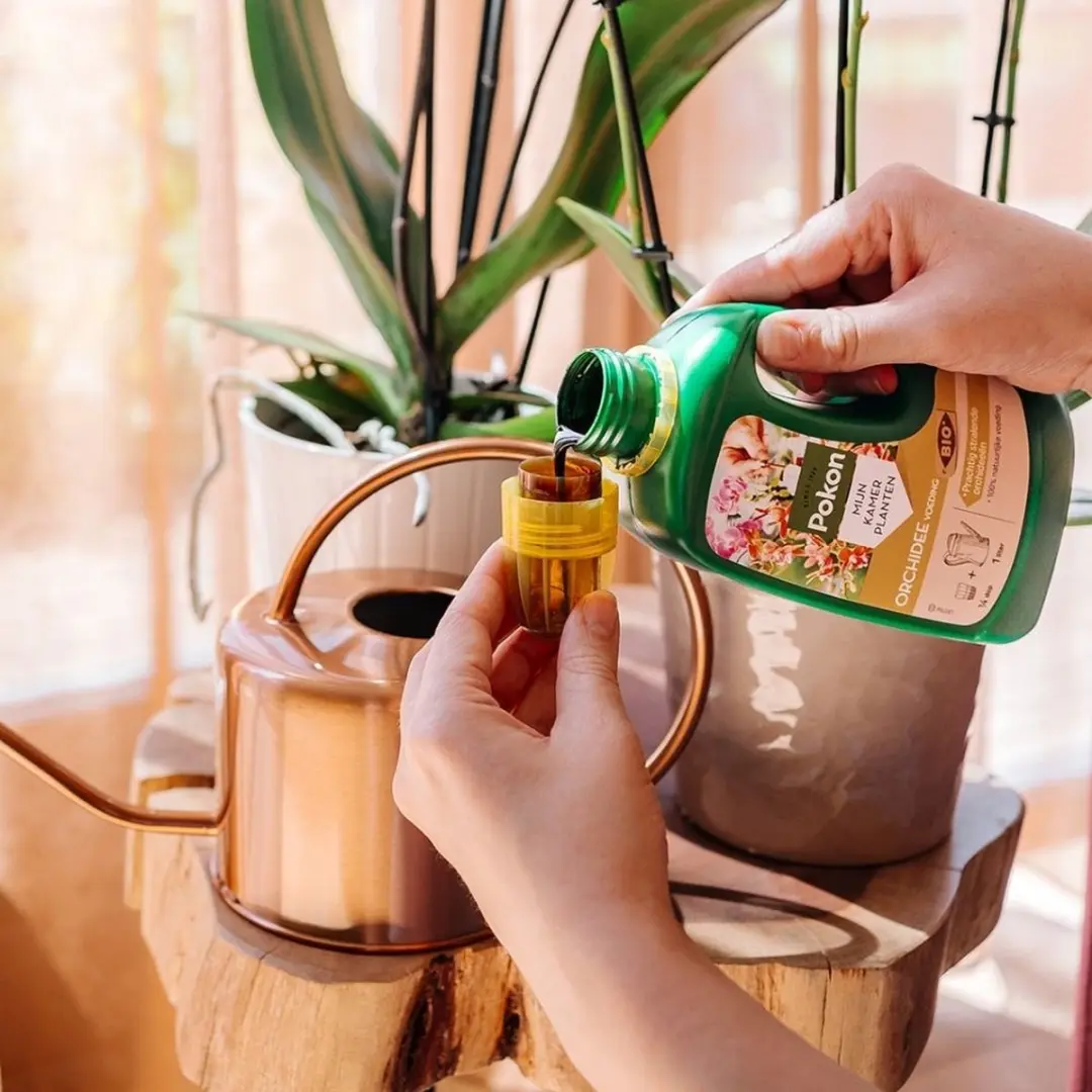 Pokon Bio Orchidee Voeding 500ml