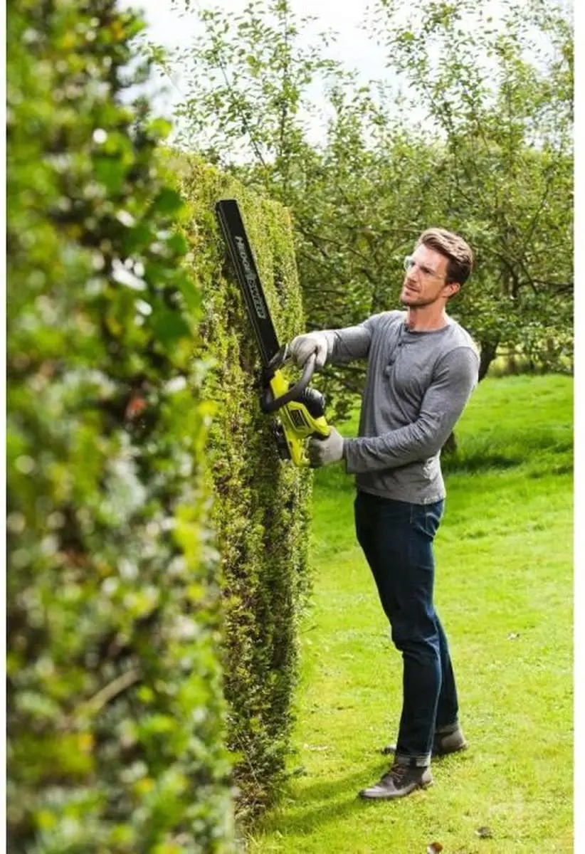 Ryobi ONE+ RHT1850H25HS Hybride Heggenschaar 50cm - 2,5Ah