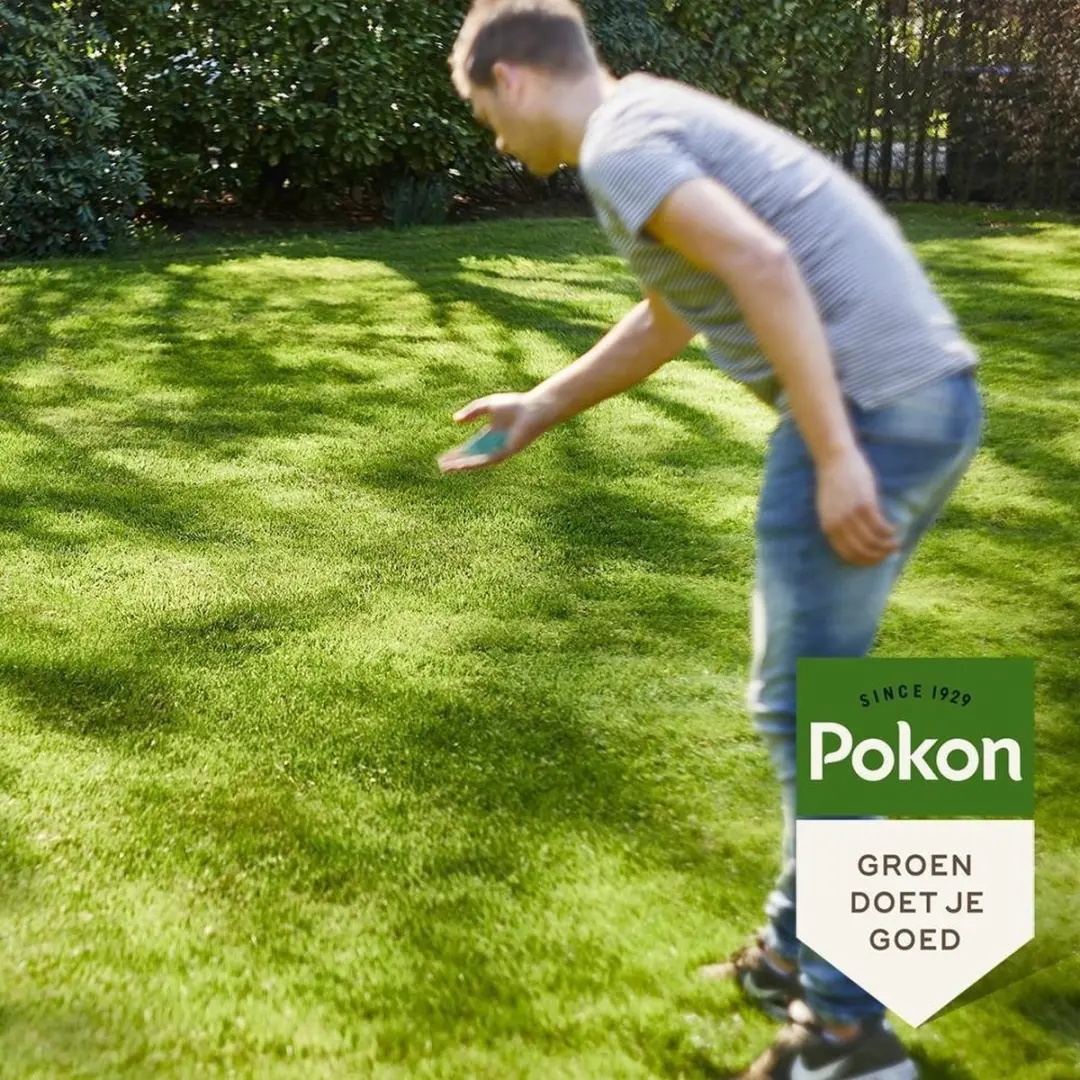Pokon Graszaad Schaduw 500g - 20-30m²