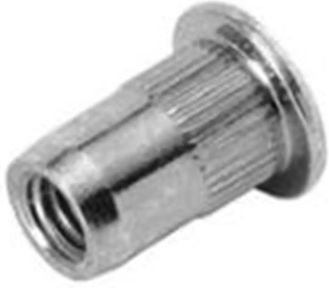 Rapid Rivet Moeren M3 5000670 - 1 Stuk - Zilver