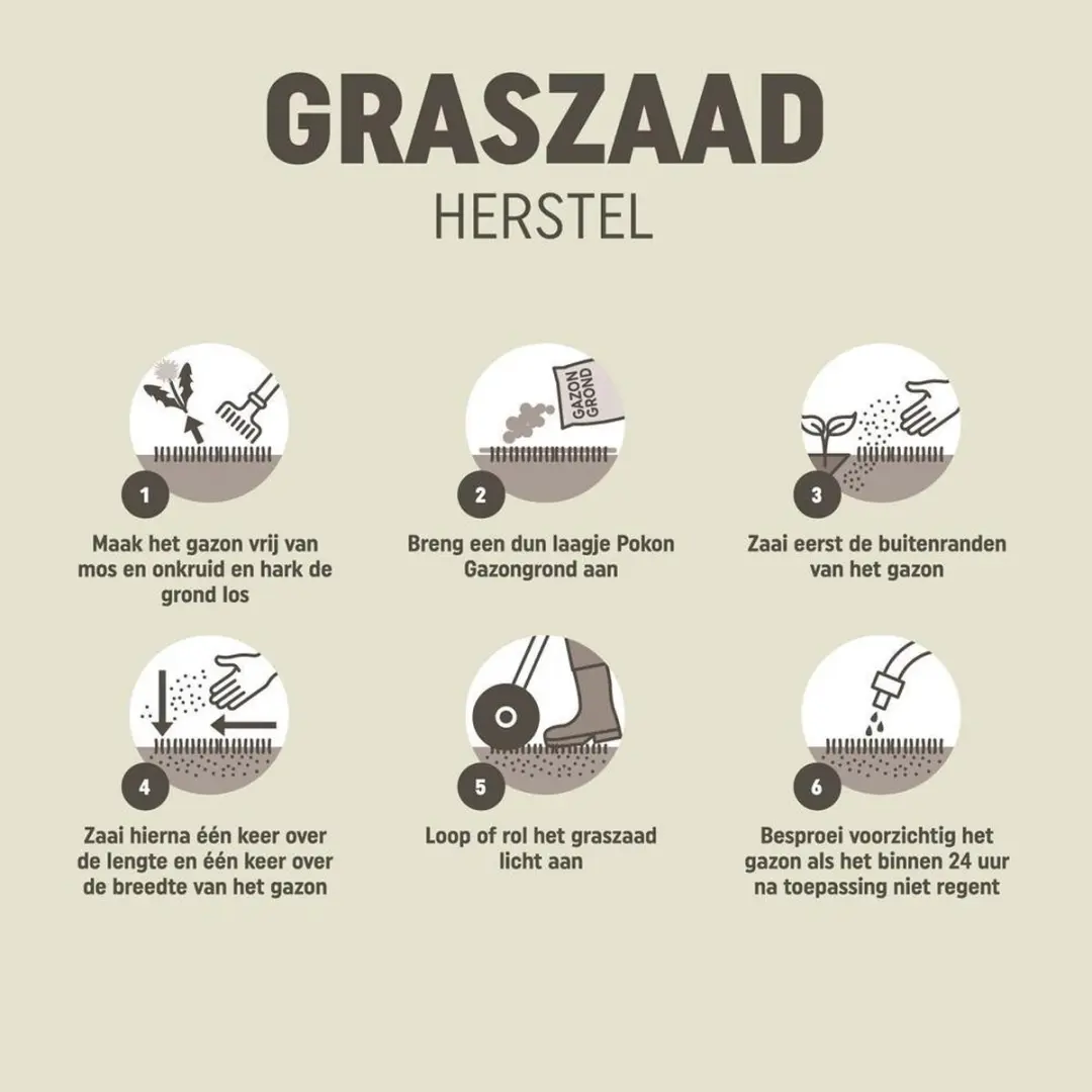 Pokon Graszaad Herstel 2kg - Gazonherstel 80-120m²
