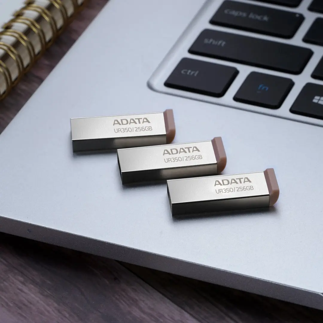 ADATA UR350 USB Flash Drive 256GB - Bruin/RVS