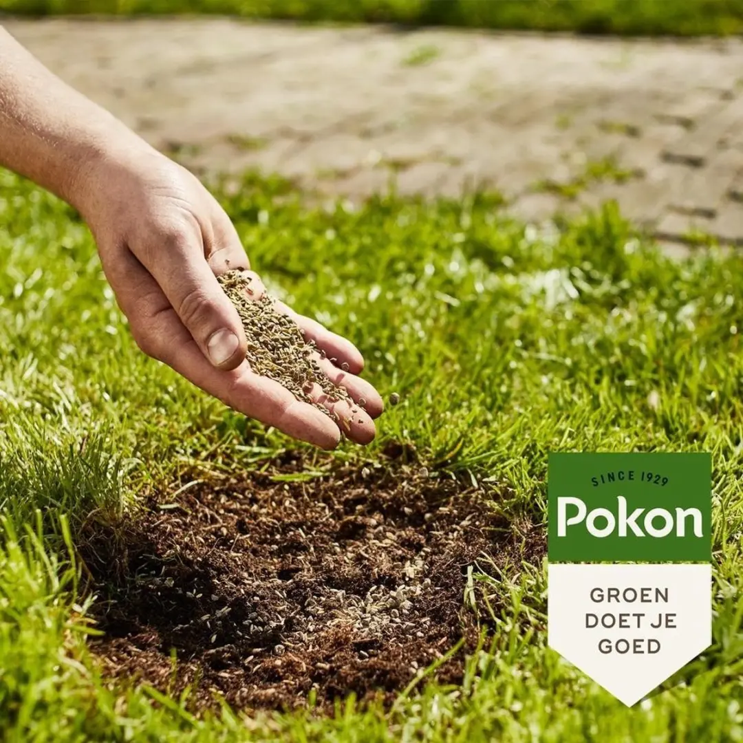 Pokon Kale Plekken Hersteller 200g - Graszaad/Meststof - Groen
