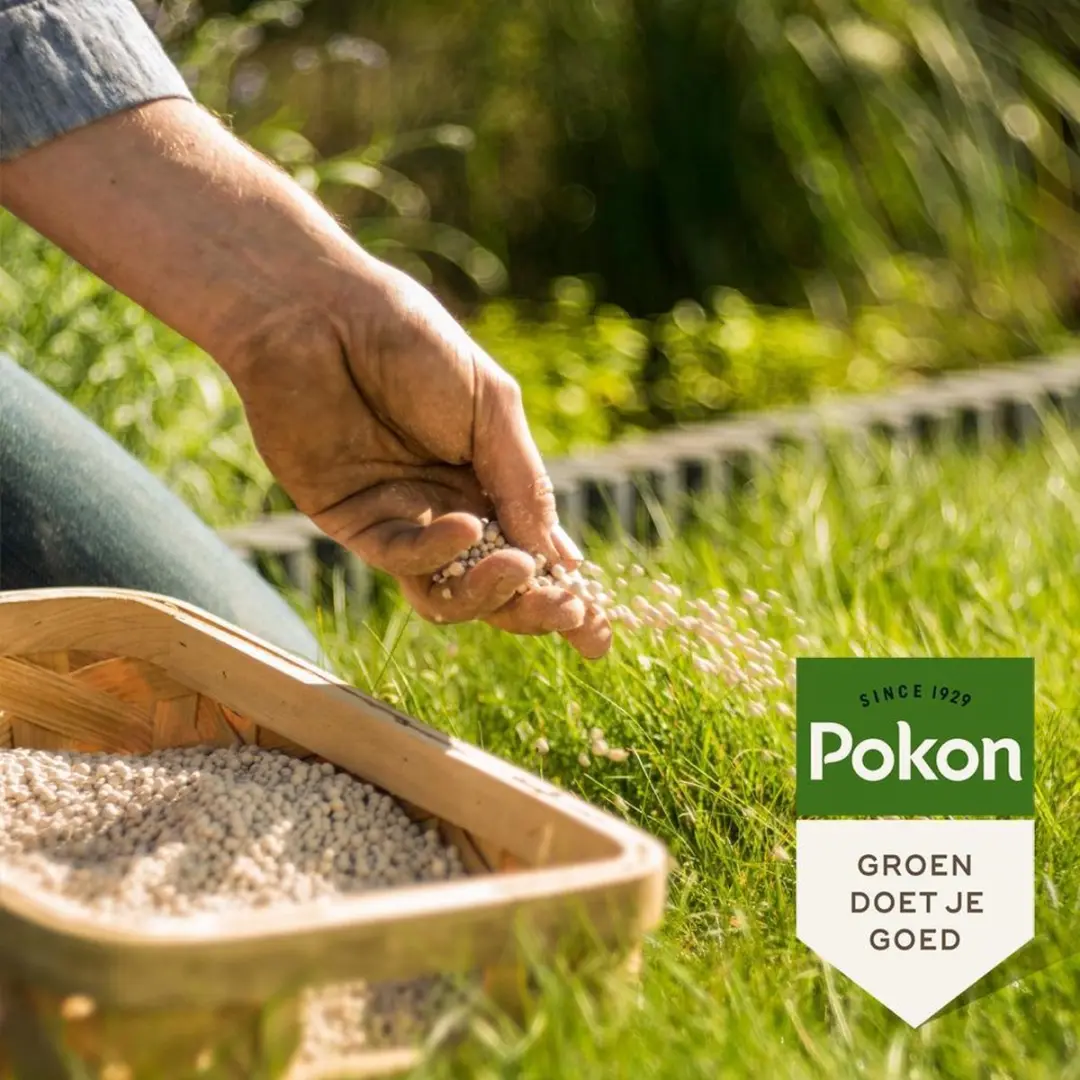 Pokon Bio Kalk 10kg - Gazon - 100m²