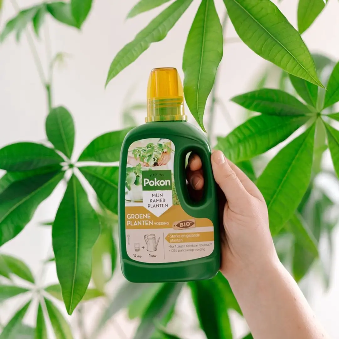 Pokon Bio Groene Planten Voeding 500ml