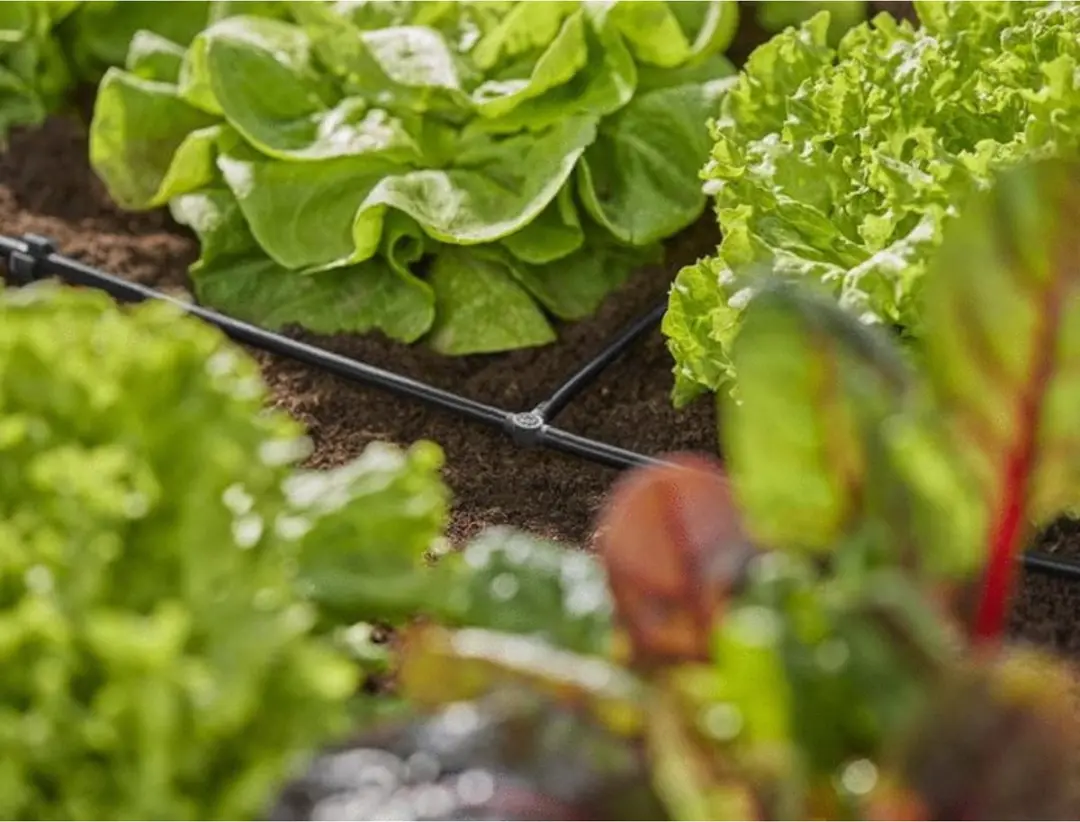 Gardena Micro-Drip T-stuk 4,6mm - 10 Stuks