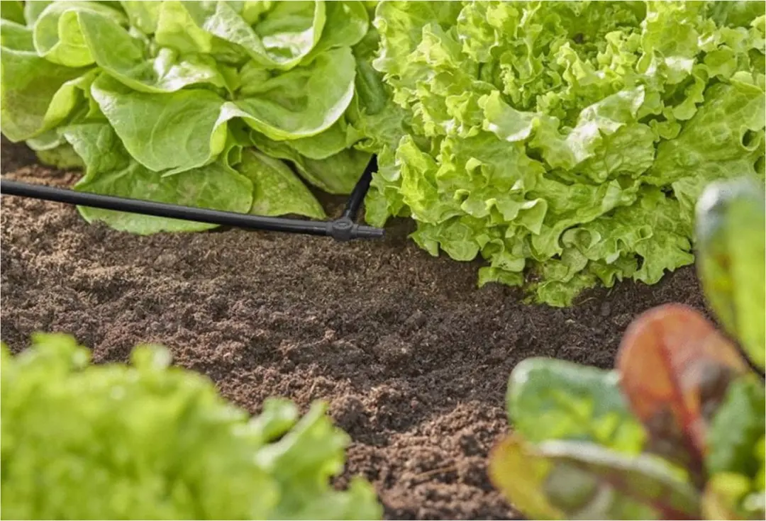 Gardena Micro-Drip T-stuk 4,6mm - 10 Stuks