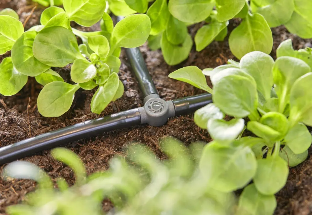 Gardena Micro-Drip T-stuk 4,6mm - 10 Stuks