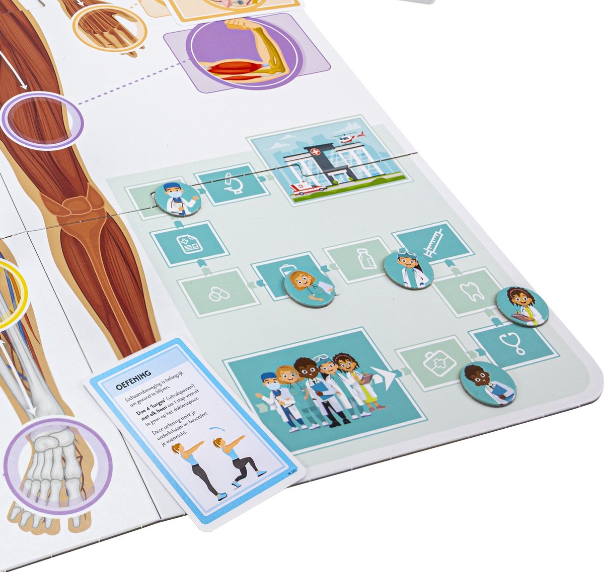Tactic Ik Leer: Het Menselijk Lichaam – Bordspel – Educatief - Ontdek het Menselijk Lichaam en Leer over Anatomie – 2 tot 5 Spelers – Vanaf 7 Jaar