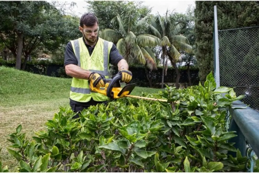 DeWalt DCM563P1 18V Accu Heggenschaar - 550mm - 1x 5,0Ah - afbeelding 6 van 6